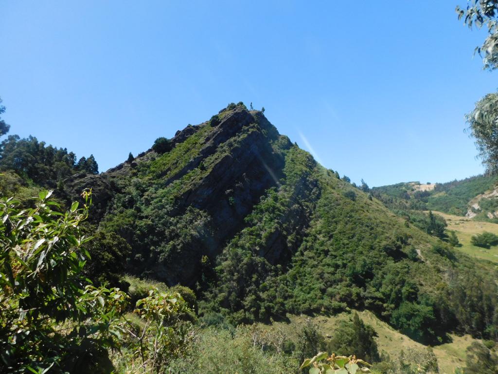 Farallones